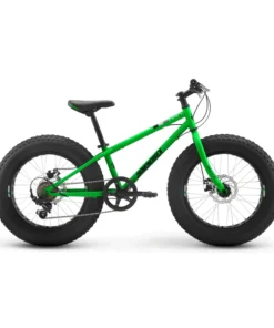 Diamondback El Oso NiÃ±o â€“ 20 Fat Tire Kids Mountain Bike