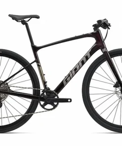 Giant 2025 Fastroad AR Advanced 2 Bike